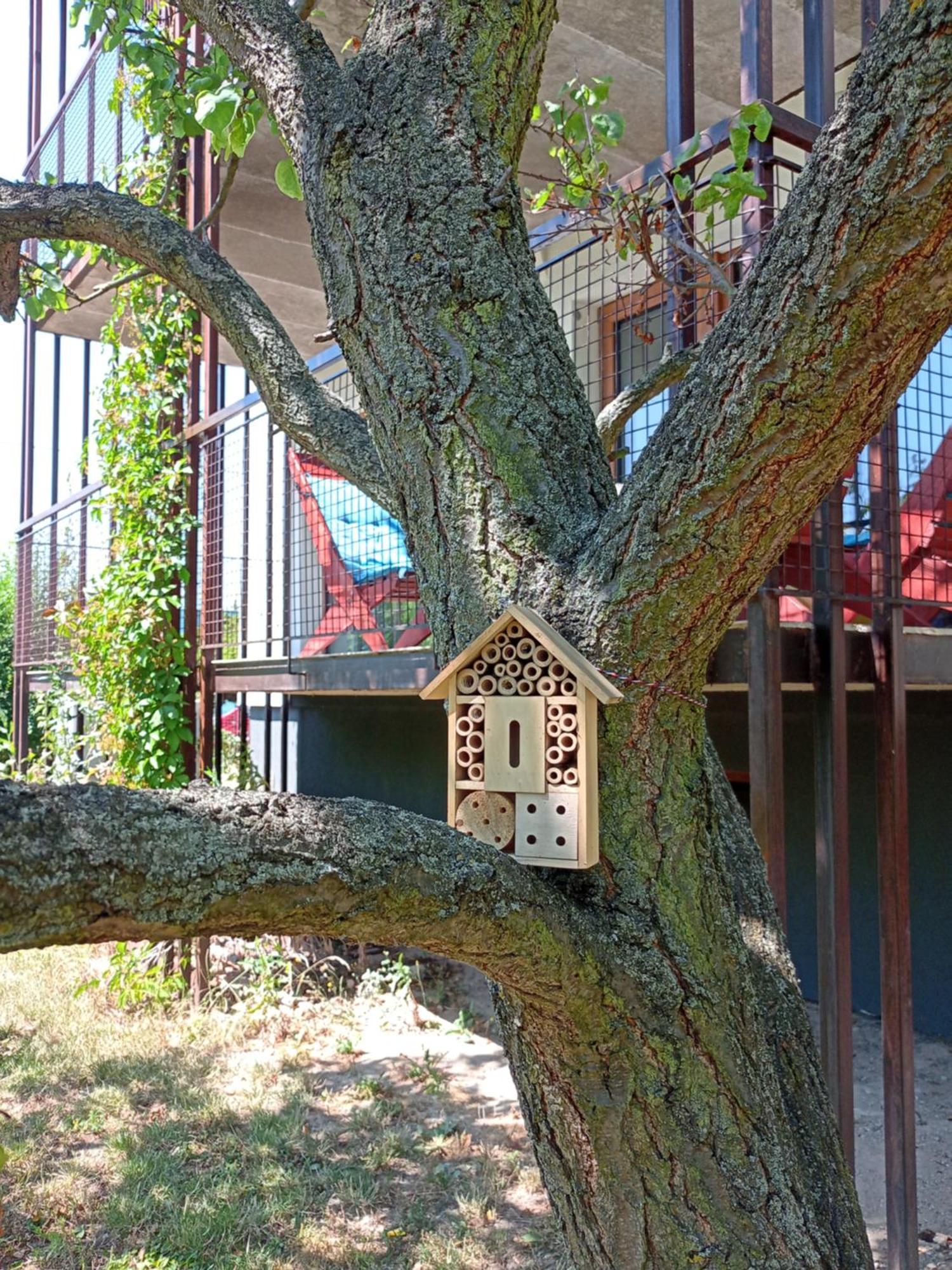 Vila Vekose - Apartman S Terasou A Zahradou Hradec Králové Zewnętrze zdjęcie